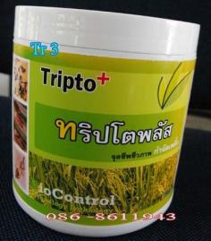 จุลินทรีย์กำจัดเพลี้ย ทริปโตพลัส  | ฺThai Bio Farm - ศรีราชา ชลบุรี