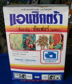 ซัลเฟอร์ Sulfer  แอนซิกต้า