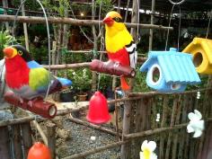 นกประดับสวน | สวนพบพลอย - คลองสามวา กรุงเทพมหานคร