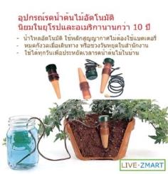 อุปกรณ์รดน้ำต้นไม้อัตโนมัติ เป็นที่นิยมในยุโรปกว่า 10 ปี