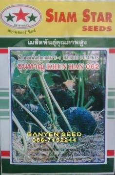 ฟักทองลูกผสม F-1  ขุนหาญ 062 ( ซอง )