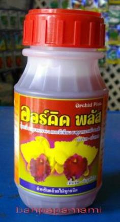 ปุ๋ยน้ำ เร่งดอก สีสด ออร์คิด