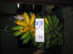 กล้วยสายน้ำผึ้ง