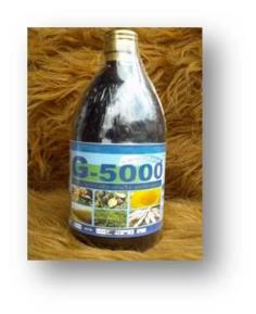 จี-5000