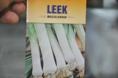 กระเทียมต้น LEEK Seed