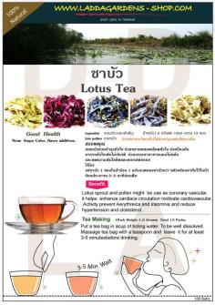 ชาบัว  lotus tea