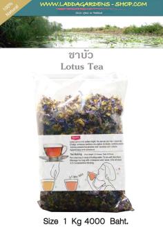 lotus Tea  ชาบัว | laddagarden - ลาดหลุมแก้ว ปทุมธานี