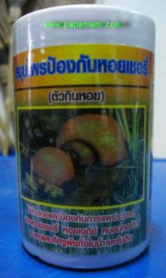 สมุนไพรกำจัดหอยทาก หอยเชอรี่ 200 กรัม | บ้านป่าป๊า & หม่ามี๊ - บางบัวทอง นนทบุรี