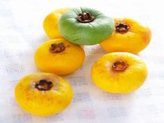 จัน   ต้นไม้ประจำจังหวัดจันทบุรี