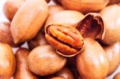 ต้นพีแคนนัท (Pecan nut)