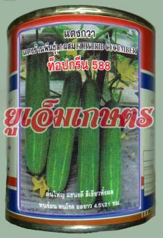 แตงกวา-ท็อปกรีน-588