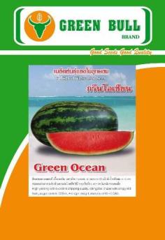 watermelon seeds "Green Ocean" เมล็ดพัน