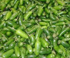 พริก ฮาลาพิโน Jalape?o Peppers