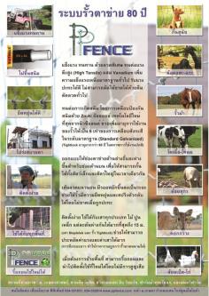 รั้วตาข่าย รั้วตาข่ายพีพีเฟ้นซ์ PPfence | PPfence - กำแพงแสน นครปฐม