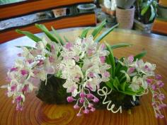 ดอกไม้ประดิษฐ์จากดินไทย(กล้วยไม้ช้างกระ) | ป้าอร การ์เด้น  - ชัยบาดาล ลพบุรี