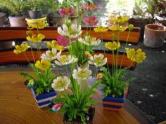 ดอกไม้ประดิษฐ์จากดินไทย(ดาวกระจาย) | ป้าอร การ์เด้น  - ชัยบาดาล ลพบุรี