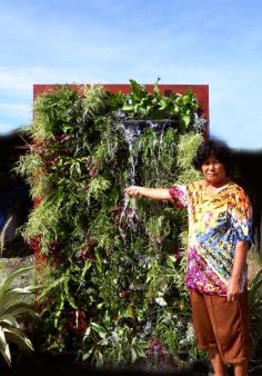 กำแพงธรรมชาติสำเร็จรูป  wall  plants 