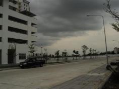 จัดสวน