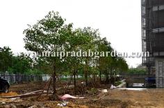 โรงพยาบาลชลประทาน จังหวัดนนทบุรี