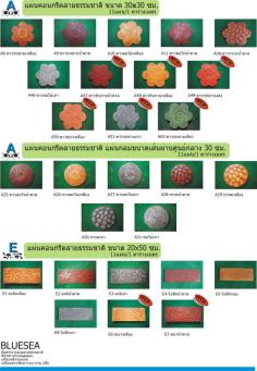 โบร์ชัวร์แผ่นที่2 