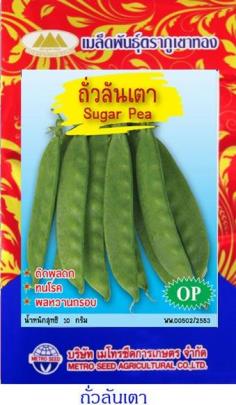 เมล็ดพันธุ์ ถั่วลันเตา