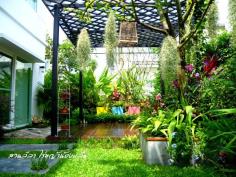 บ้านและสวน