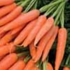 เมล็ดพันธุ์ Baby  Carrot ถุงละ 200 เมล็ด