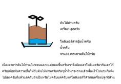 โพลิเมอร์สารอุ้มน้ำขายปลีก100กรัม