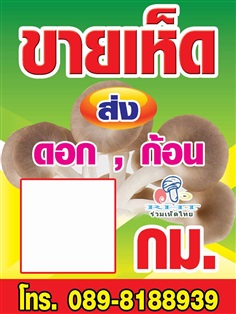 ขายดอกเห็ด,ก้อนเชื้อเห็ด | ฟาร์มร่วมเห็ดไทย - คง นครราชสีมา