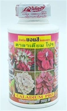 CALADIUM_PRO-คาลาเดียม โปร ปุ๋ยน้ำบอนสี