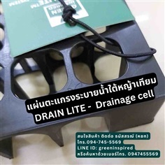 แผ่นตระแกรงระบายน้ำใต้ดิน Drainage cell 