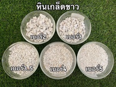 หินเกล็ดขาว /ชมพู  /ขาวกำแพง/เทา  | โชคศิริหินธรรมชาติ - ท่าม่วง กาญจนบุรี