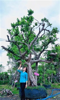 ต้นว่าด้วยมั่งมีศรีสุข