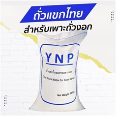 ถั่วแขกไทย YNP สีน้ำเงิน (สำหรับเพาะถั่วงอก)