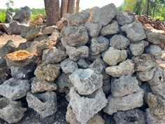 หินฟองน้ำ กระถาง  | โชคศิริหินธรรมชาติ - ท่าม่วง กาญจนบุรี