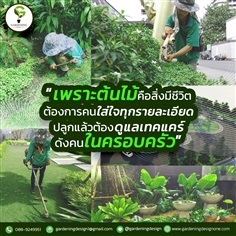 Gardening Design จัดสวน  ออกแบบสวน  ดูแลสวน  ราคาถูก