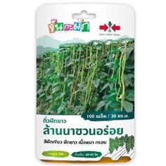 เมล็ดถั่วฝักยาว (จันกะผัก) ตรา ศรแดง ซื้อ10 แถม1  | สวนตั้นแน้วพันธุ์ไม้ - วังสะพุง เลย