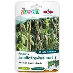 เมล็ดถั่วฝักยาว ลายเสือจักรพันธ์ ศรแดง ซื้อ10 แถม1 | สวนตั้นแน้วพันธุ์ไม้ - วังสะพุง เลย