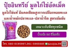 ปุ๋ยอินทรีย์ มูลไก่ไข่อัดเม็ด กระสอบสีม่วง  | โรงปุ๋ยอมรไต๋ เอ็มดีฟาร์เมอร์ - บางแพ ราชบุรี