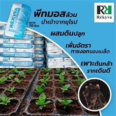 พีทมอสRekyva