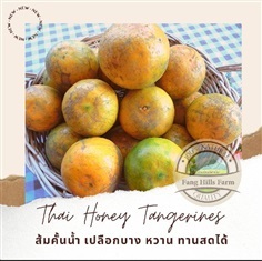 ส้มสายน้ำผึ้งส้มลาย 1 กิโลกรัม ผลกลางเบอร์ 4