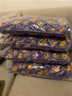 ขายและรับซื้อ ดอกบัวสีน้ำเงิน จากสวน