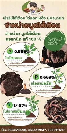 มูลไส้เดือน 