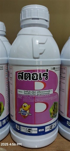 สตอเร่ กำจัดโรคเมล็ดด่าง