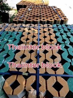 บล็อกตัวหนอน แผ่นทางเท้า thaiinter block