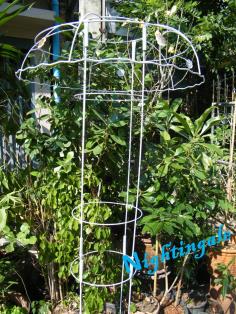 ซุ้ม 1.8 เมตร  สำหรับไม้เลื้อย