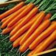 เบบี้แครอท (ทานสด)