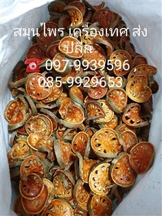 มะตูมแห้ง  Dired Bael fruit | เฟิร์สบีนส์ -  กรุงเทพมหานคร