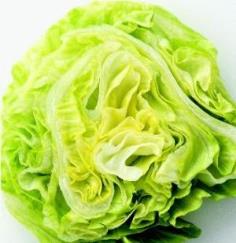 Iceberg Lettuce