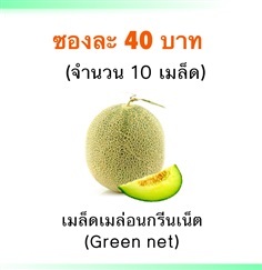 เมล็ดเมล่อนกรีนเน็ต (Green net)